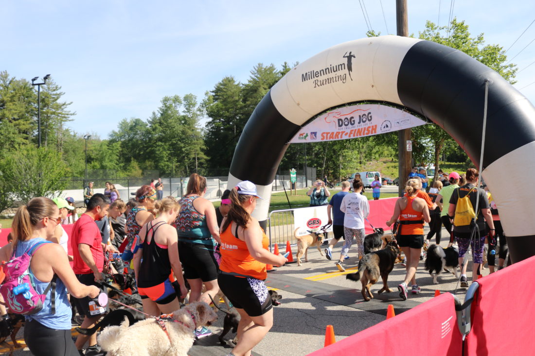 2nd annual Dog Jog brings all the barkers to the park News, Sports